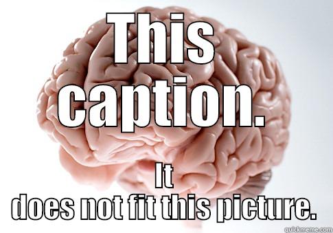 THIS CAPTION. IT DOES NOT FIT THIS PICTURE. Scumbag Brain