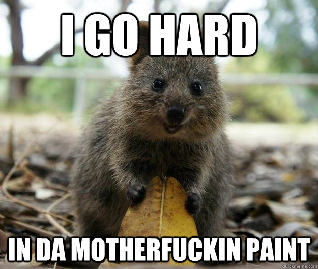 I GO HARD IN DA MOTHERFUCKIN PAINT - I GO HARD IN DA MOTHERFUCKIN PAINT  Quokka Flocka Flame