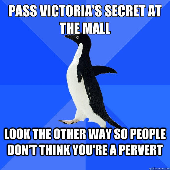 Pass Victoria's Secret at the mall look the other way so people don't think you're a pervert  Socially Awkward Penguin