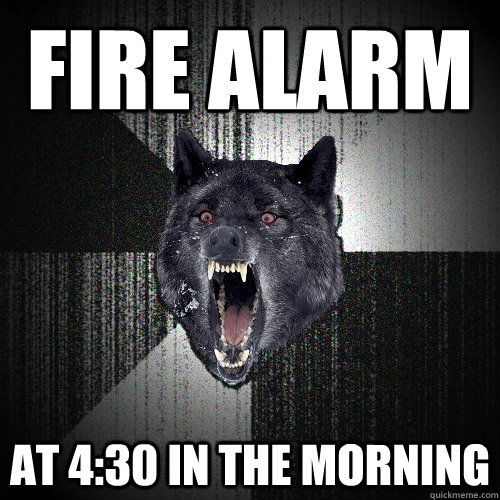fire alarm at 4:30 in the morning  Insanity Wolf
