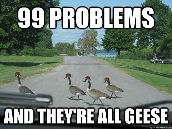 99 Problems And they're all geese  