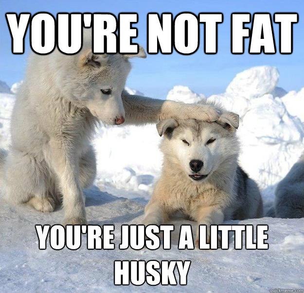 you're not fat
 you're just a little husky - you're not fat
 you're just a little husky  Caring Husky