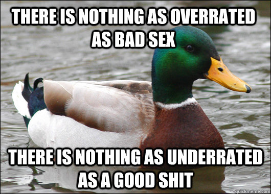 There is nothing as overrated as bad sex There is nothing as underrated as a good shit  Actual Advice Mallard