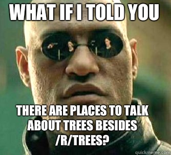 what if i told you there are places to talk about trees besides /r/trees?  Matrix Morpheus