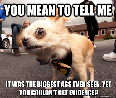 You mean to tell me It was the biggest ass ever seen, yet you couldn't get evidence? - You mean to tell me It was the biggest ass ever seen, yet you couldn't get evidence?  Skeptical Dog