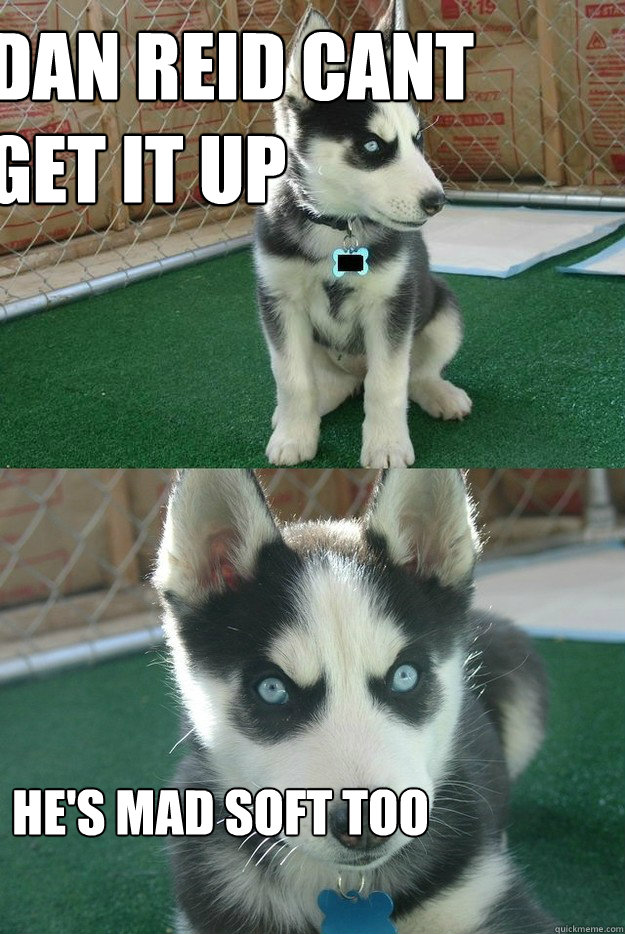 dan reid cant get it up he's mad soft too  Insanity puppy