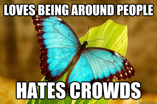 Loves being around people Hates crowds - Loves being around people Hates crowds  Misc