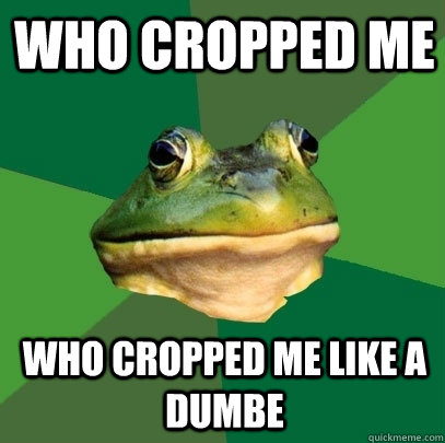 who cropped me who cropped me like a dumbe  Foul Bachelor Frog