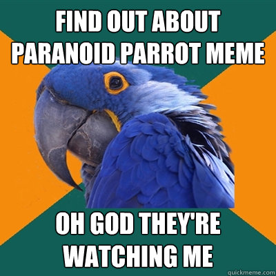find out about paranoid parrot meme oh god they're watching me  Paranoid Parrot