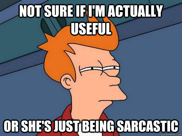 Not sure if I'm actually useful or she's just being sarcastic - Not sure if I'm actually useful or she's just being sarcastic  Futurama Fry