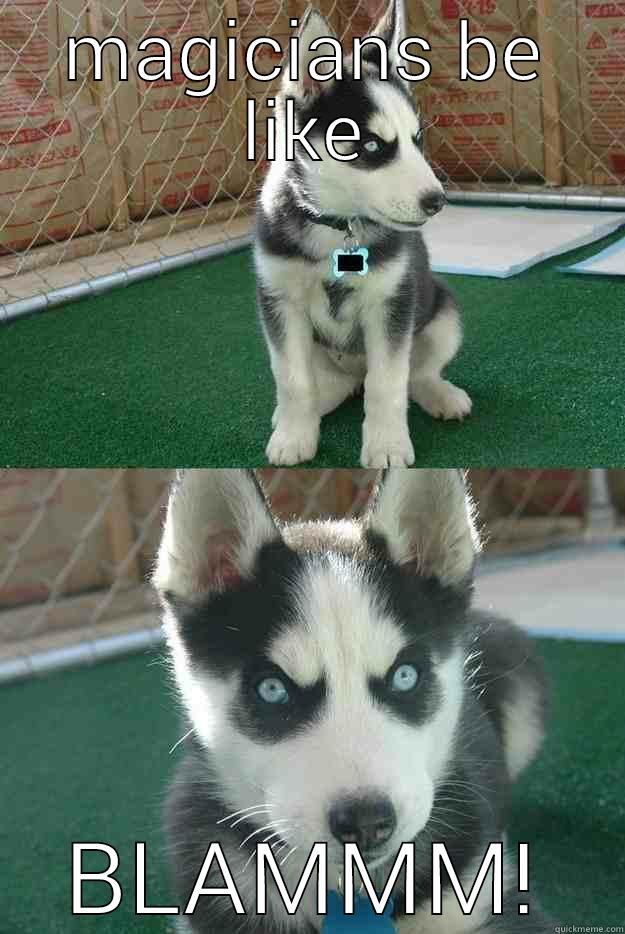 MAGICIANS BE LIKE BLAMMM! Insanity puppy