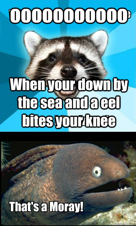 When your down by the sea and a eel bites your knee ooooooooooooooooooooooo - When your down by the sea and a eel bites your knee ooooooooooooooooooooooo  Lame Pun Duet
