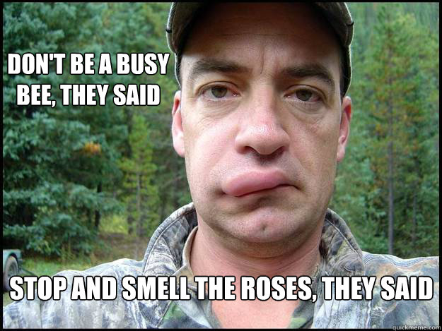 Don't be a busy bee, they said Stop and smell the roses, they said  Stop and Smell the Roses
