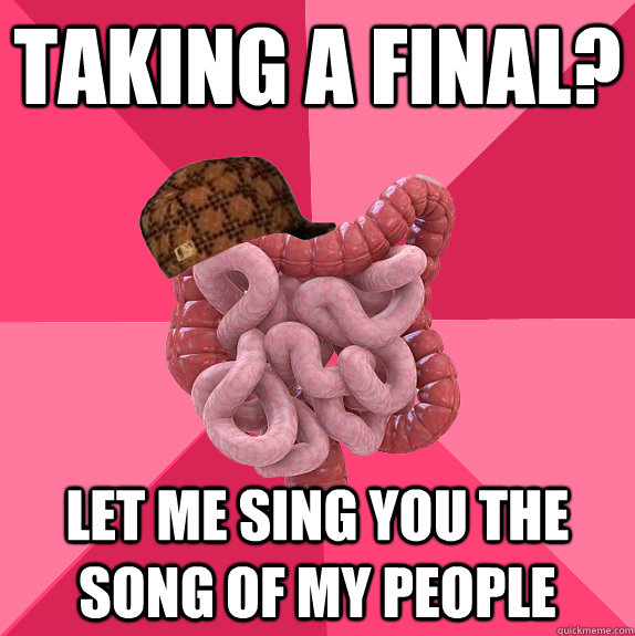 Taking a final? Let me sing you the song of my people  Scumbag Intestines