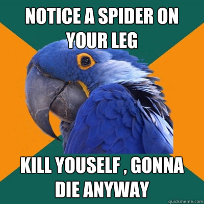 notice a Spider on your leg Kill youself , gonna die anyway  Paranoid Parrot