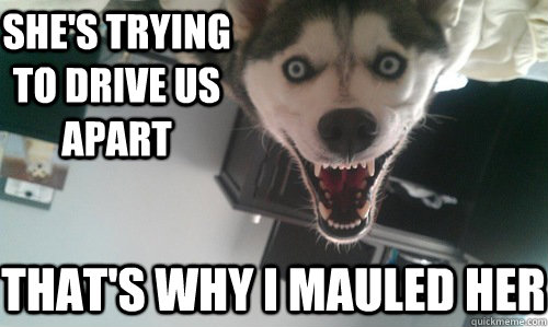 she's trying to drive us apart that's why I mauled her - she's trying to drive us apart that's why I mauled her  Obsessive Dogfriend