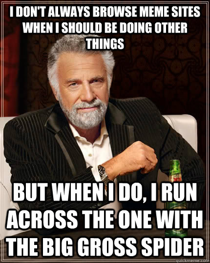 I don't always browse meme sites when I should be doing other things but when I do, I run across the one with the big gross spider  The Most Interesting Man In The World