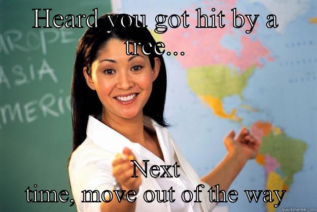 HEARD YOU GOT HIT BY A TREE... NEXT TIME, MOVE OUT OF THE WAY Unhelpful High School Teacher