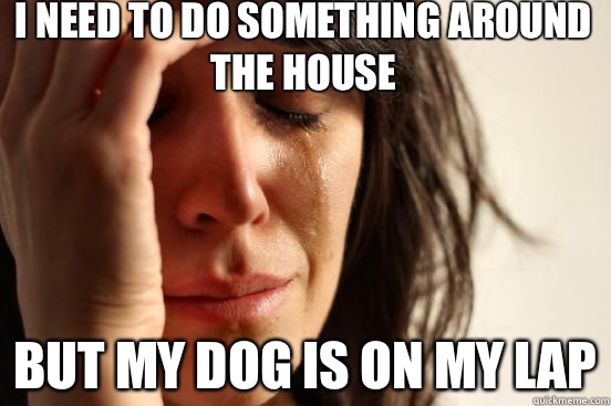 I need to do something around the house But my dog is on my lap  First World Problems