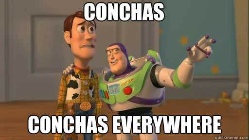Conchas Conchas everywhere - Conchas Conchas everywhere  Everywhere