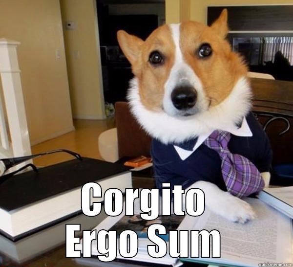  CORGITO ERGO SUM Lawyer Dog