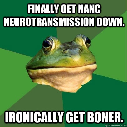 Finally get NANC neurotransmission down. Ironically get boner.  Foul Bachelor Frog