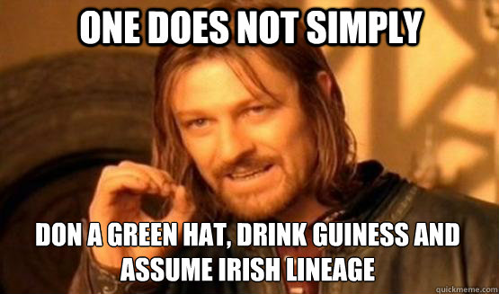 One does not simply don a GREEN HAT, DRINK GUINESS AND ASSUME IRISH LINEAGE  one does not simply finish a sean bean burger