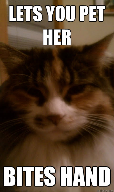 lets you pet her bites hand  
