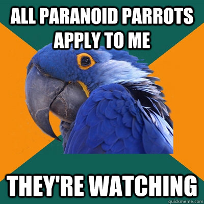 All Paranoid parrots apply to me They're watching  Paranoid Parrot