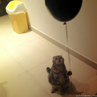    Sad Birthday Cat