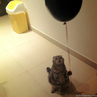   -    Sad Birthday Cat