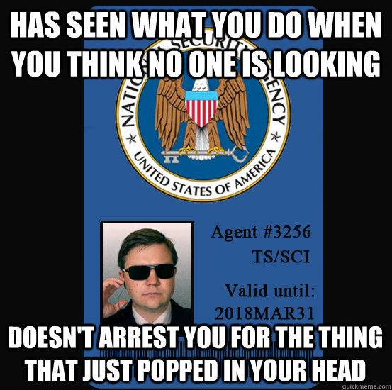 Has seen what you do when you think no one is looking Doesn't arrest you for the thing that just popped in your head - Has seen what you do when you think no one is looking Doesn't arrest you for the thing that just popped in your head  Good Guy NSA