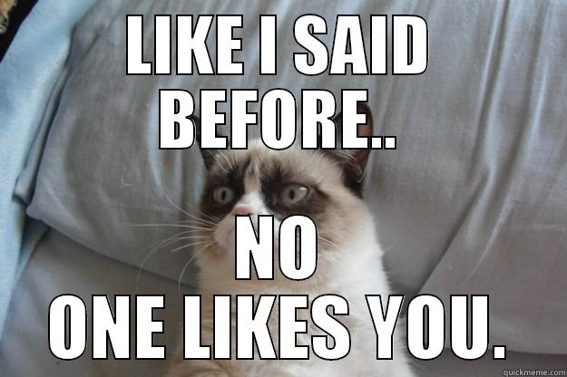 LIKE I SAID BEFORE.. NO ONE LIKES YOU. Grumpy Cat