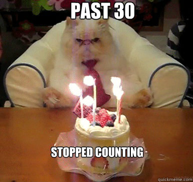 Past 30 Stopped counting  Cake Day Cat