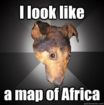 I look like a map of Africa - I look like a map of Africa  Depression Dog