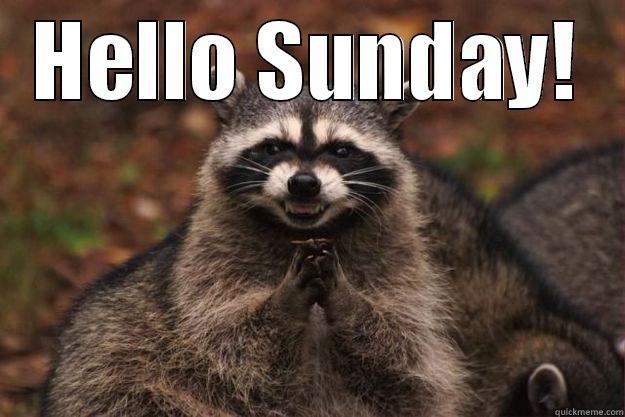 Plotting Sunday - HELLO SUNDAY!  Evil Plotting Raccoon