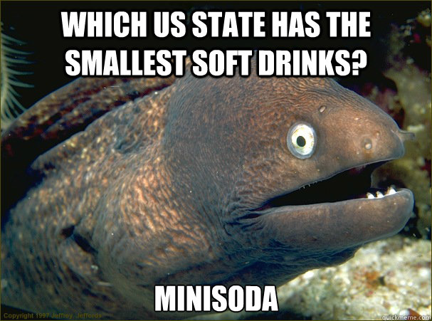 Which US state has the smallest soft drinks? MiniSoda  Bad Joke Eel