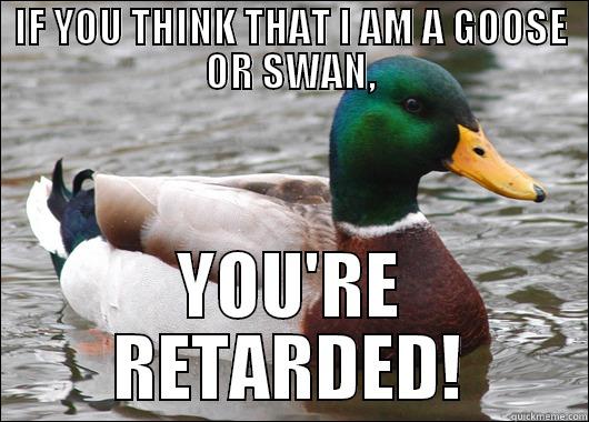 IF YOU THINK THAT I AM A GOOSE OR SWAN, YOU'RE RETARDED! Actual Advice Mallard
