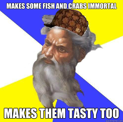 Makes some fish and crabs immortal Makes them tasty too
  Scumbag God