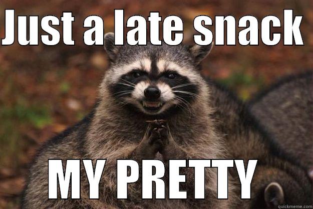 JUST A LATE SNACK  MY PRETTY Evil Plotting Raccoon