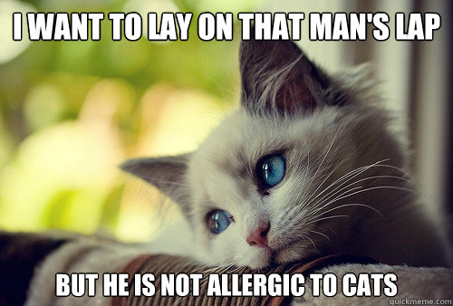 I want to lay on that man's lap but he is not allergic to cats  First World Cat Problems
