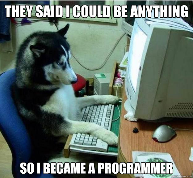 they said i could be anything so i became a programmer   Disapproving Dog