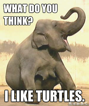 What do you think? I like turtles. - What do you think? I like turtles.  Irrelephant