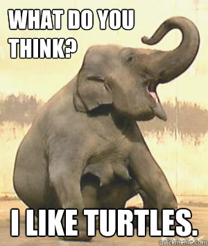 What do you think? I like turtles.  Irrelephant