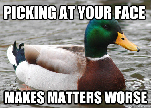 picking at your face makes matters worse  Actual Advice Mallard