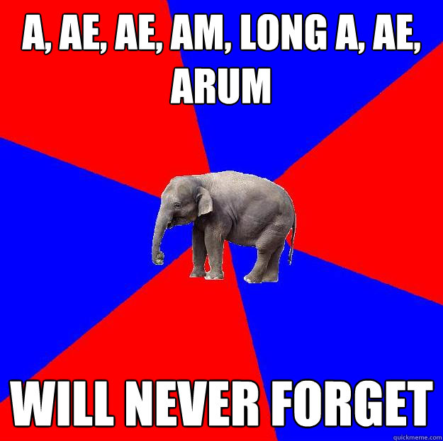 A, AE, AE, AM, LONG A, AE, ARUM WILL NEVER FORGET   Foreign language elephant