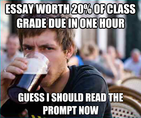 Essay worth 20% of class grade due in one hour guess i should read the prompt now  Lazy College Senior