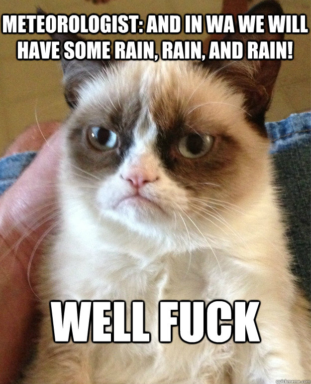 Meteorologist: And in WA we will have some rain, rain, and rain! well fuck  Grumpy Cat