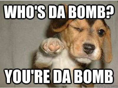 WHO'S DA BOMB? YOU'RE DA BOMB  winking dog da bomb