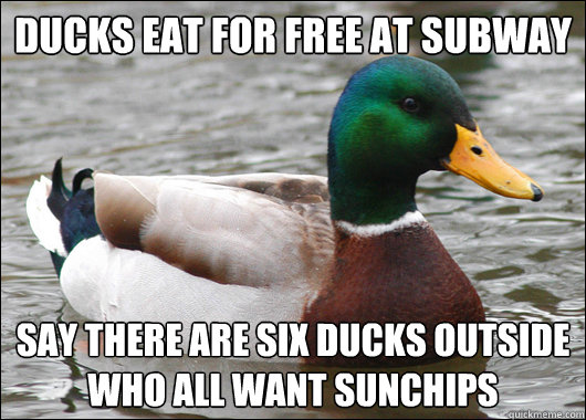 Ducks eat for free at subway say there are six ducks outside who all want sunchips - Ducks eat for free at subway say there are six ducks outside who all want sunchips  Actual Advice Mallard